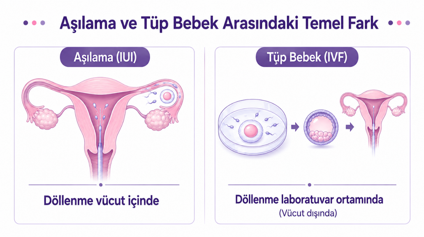 Aşılama tedavisi kimler için değerlendirilebilir