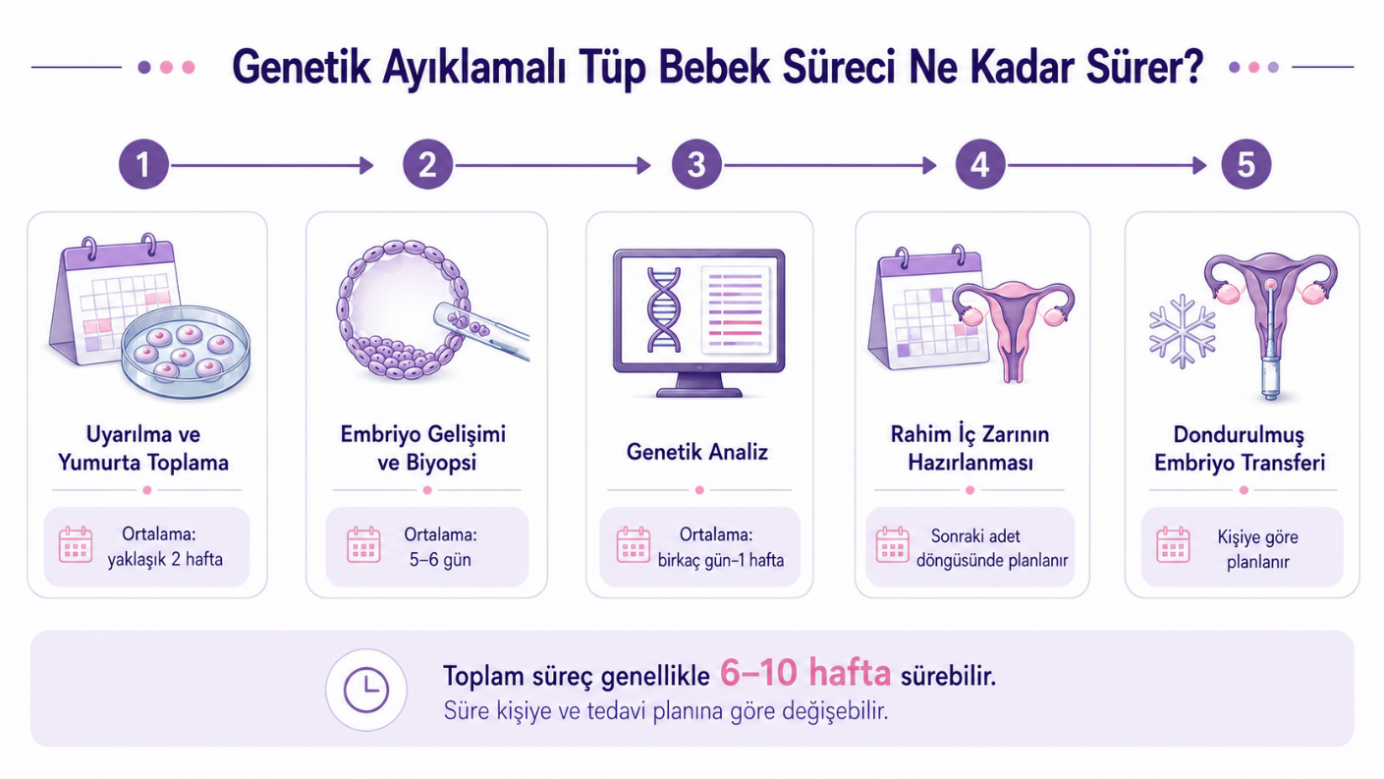 Genetik ayıklamalı tüp bebek kaç gün / kaç hafta sürer