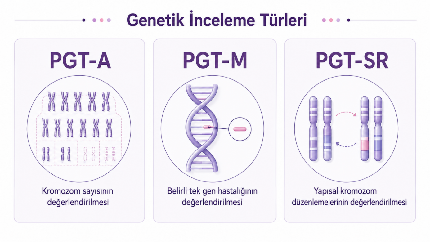 PGT-A, PGT-M, PGT-SR inceleme türleri