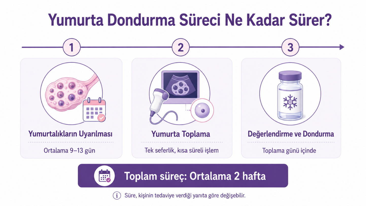 Yumurta dondurma süreci kaç gün sürer